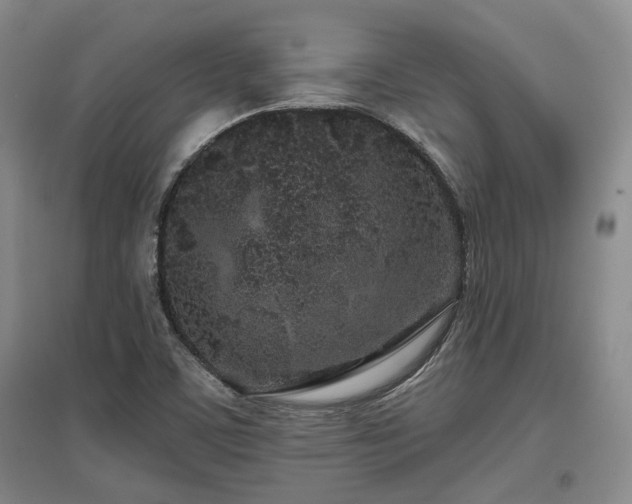 X0000097471459200802221225