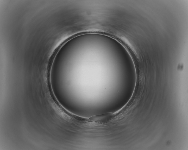 X0000097471460200802221225