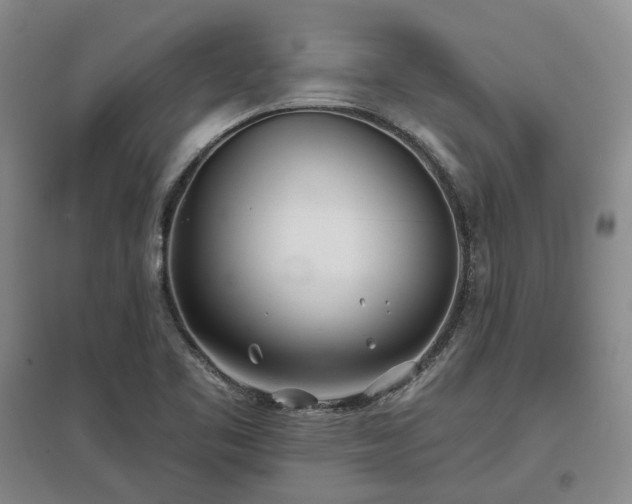X0000097471461200802221225