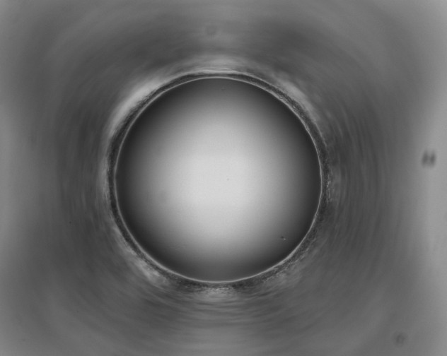 X0000097471464200802221225