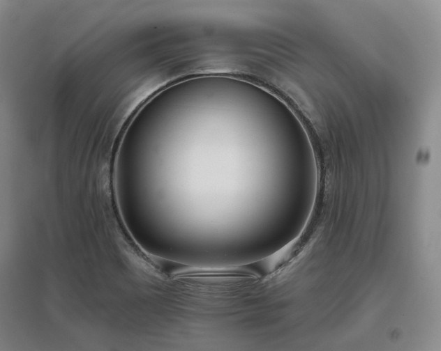X0000097471465200802221225