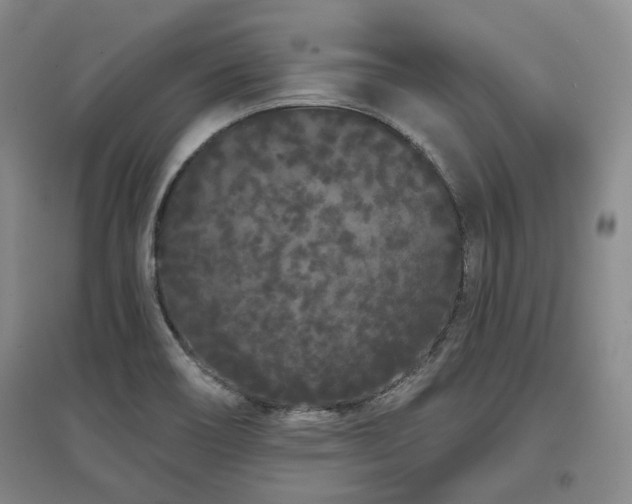 X0000097471466200802221225