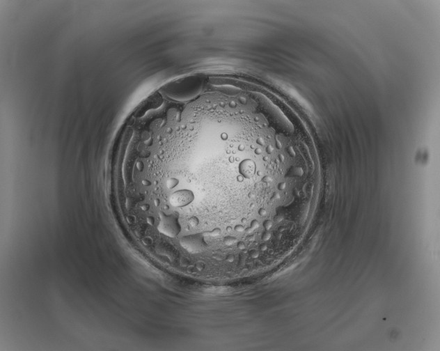 X0000097471467200802221225