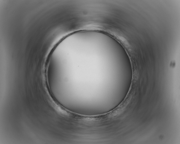 X0000097471470200802221225