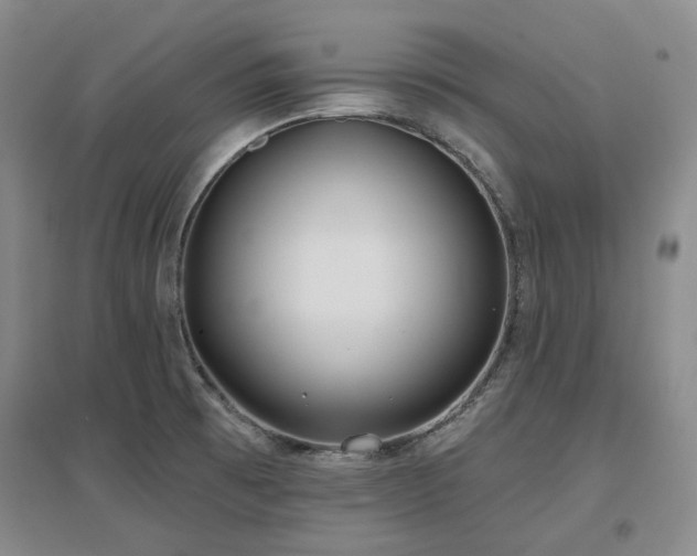X0000097471473200802221225