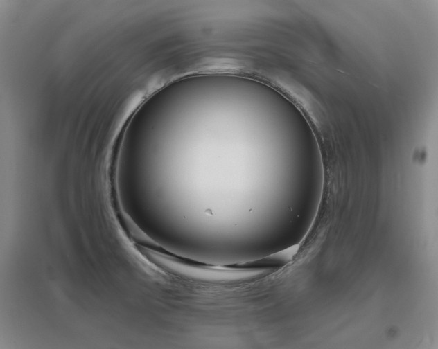 X0000097471475200802221225