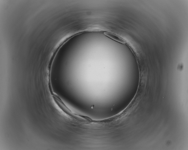 X0000097471476200802221225