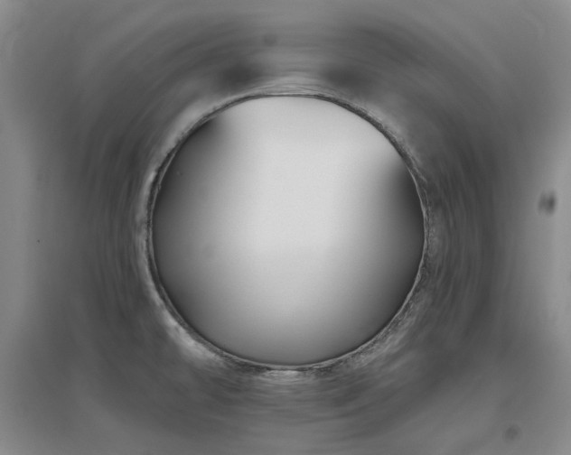 X0000097471478200802221225