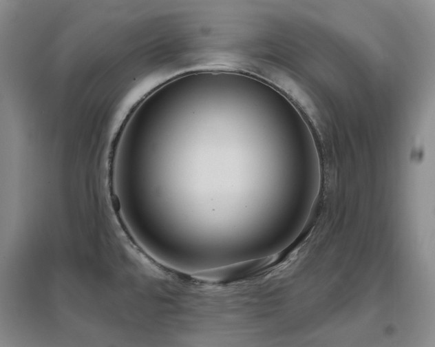 X0000097471480200802221225