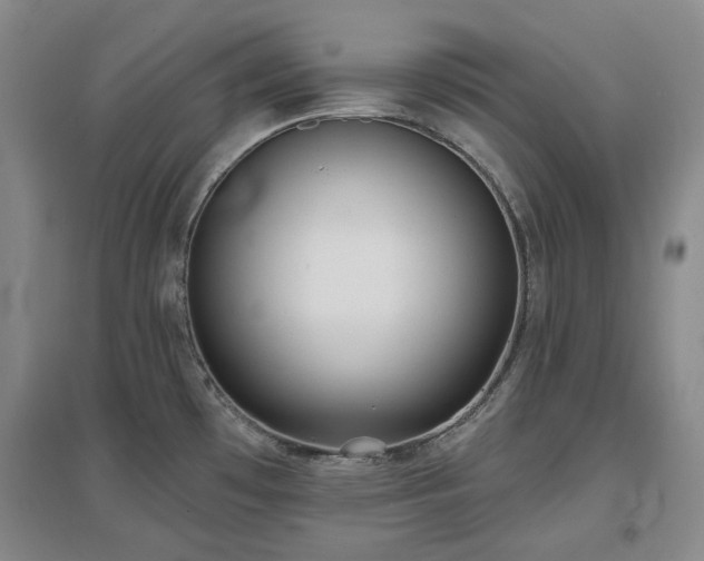 X0000097471481200802221225