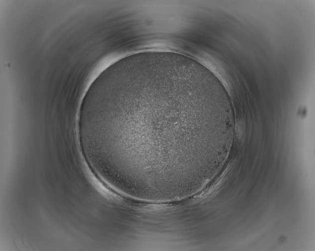 X0000097471482200802221225
