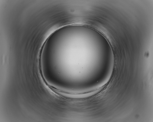 X0000097471483200802221225