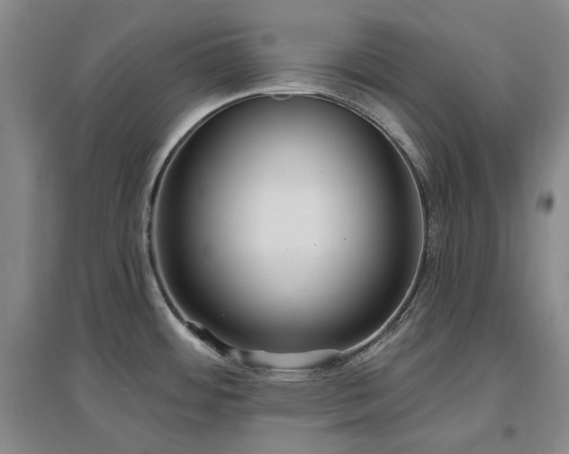 X0000097471484200802221225