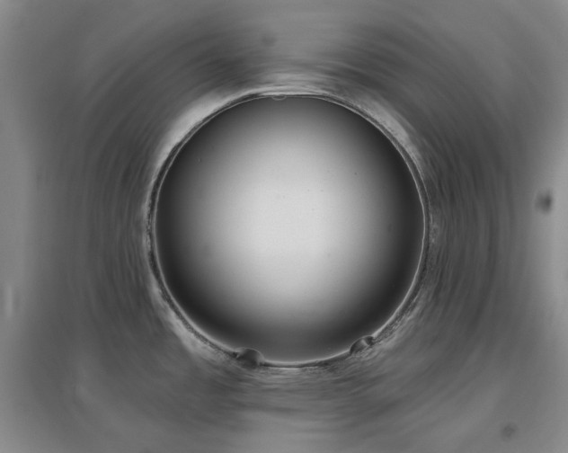 X0000097471485200802221225
