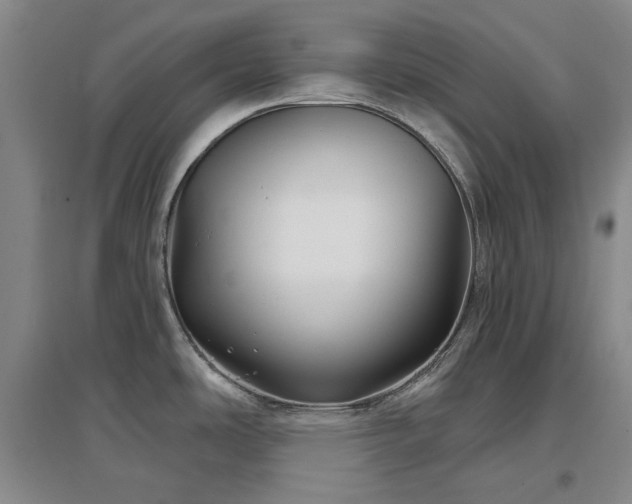 X0000097471486200802221225