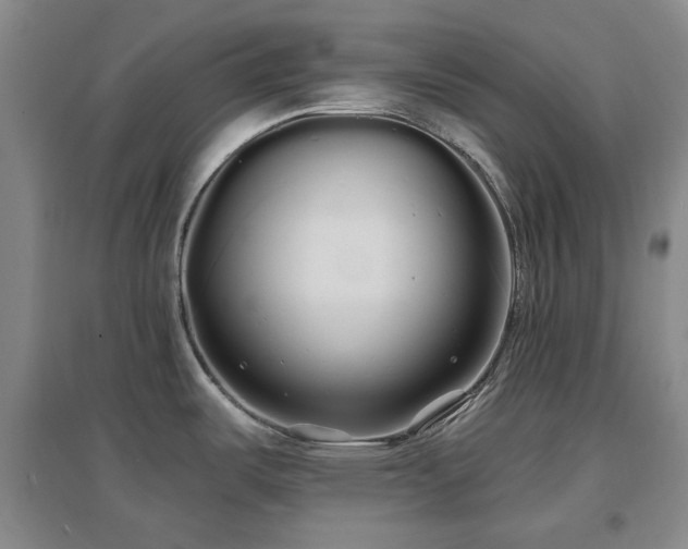 X0000097471487200802221225