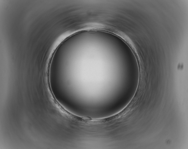 X0000097471488200802221225