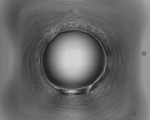 X0000097471489200802221224