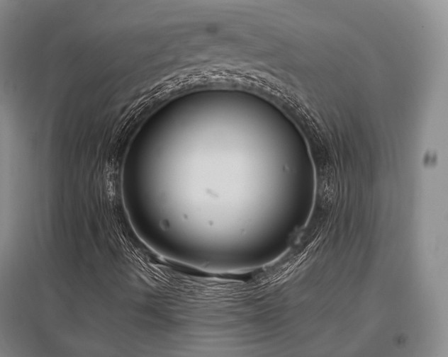 X0000097471490200802221224