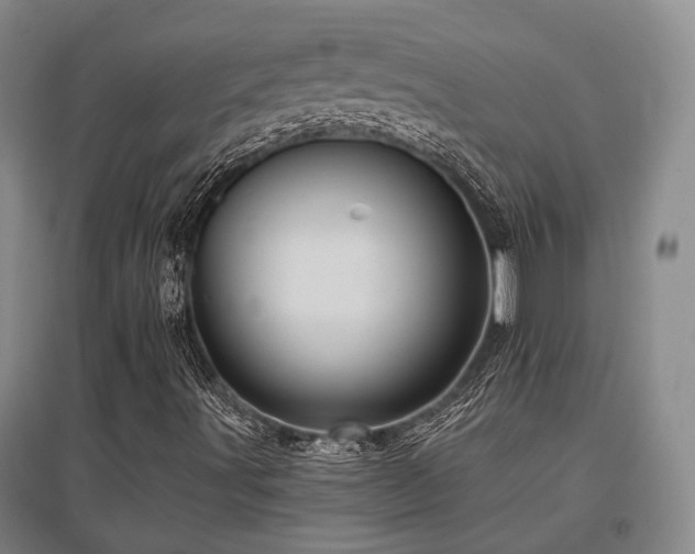 X0000097471491200802221224