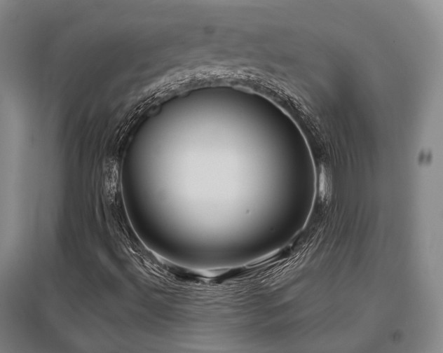 X0000097471492200802221224