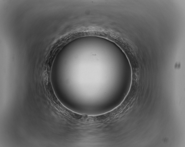 X0000097471493200802221224