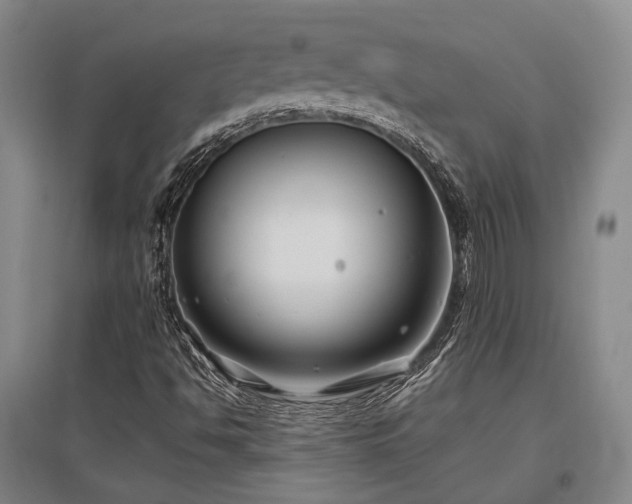 X0000097471494200802221224