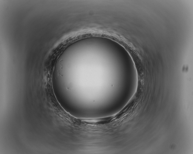 X0000097471495200802221224