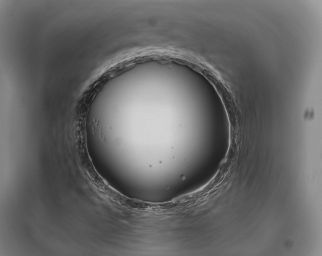 X0000097471496200802221224