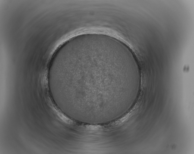 X0000097471498200802221224