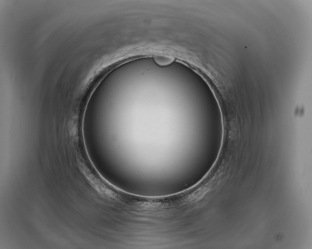 X0000097471499200802221224