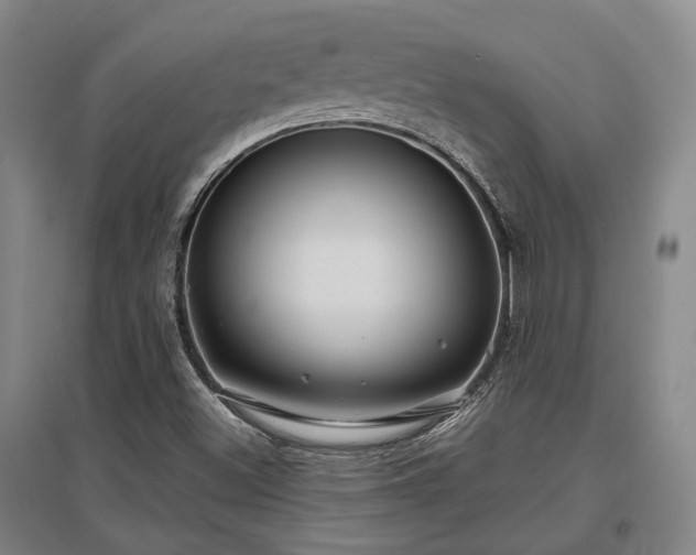 X0000097471500200802221224