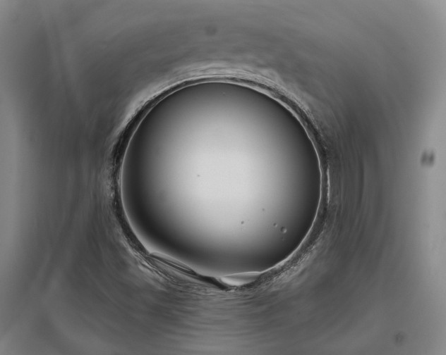 X0000097471501200802221224