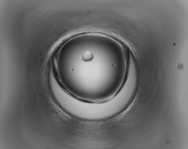 X0000097471502200802221224