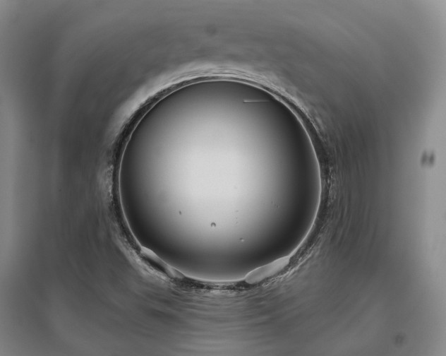X0000097471503200802221224