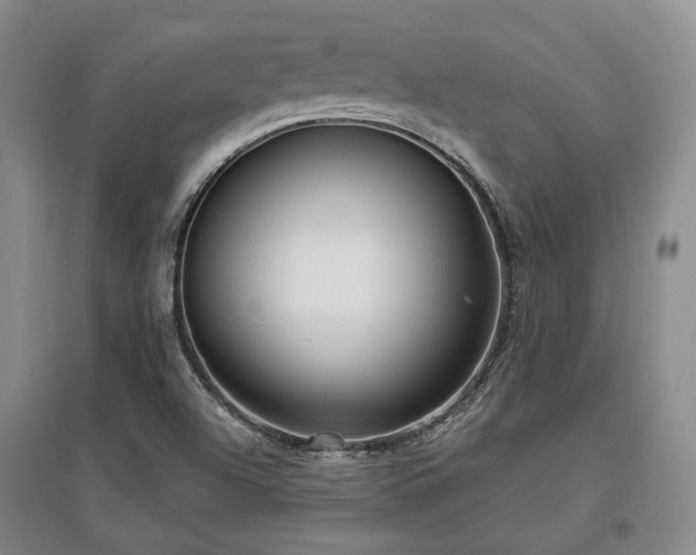 X0000097471504200802221224