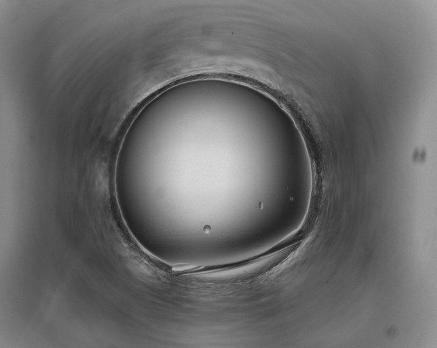 X0000097471505200802221224