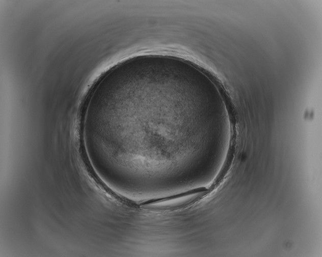X0000097471506200802221224