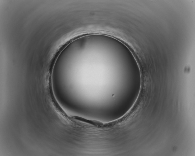 X0000097471507200802221224