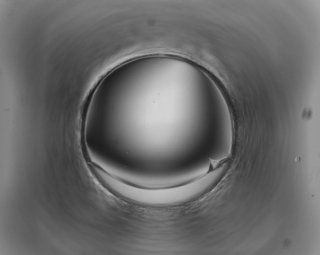 X0000097471508200802221224