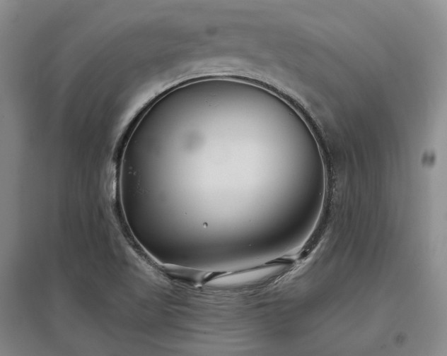 X0000097471509200802221224