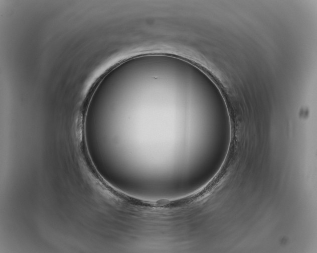 X0000097471510200802221224