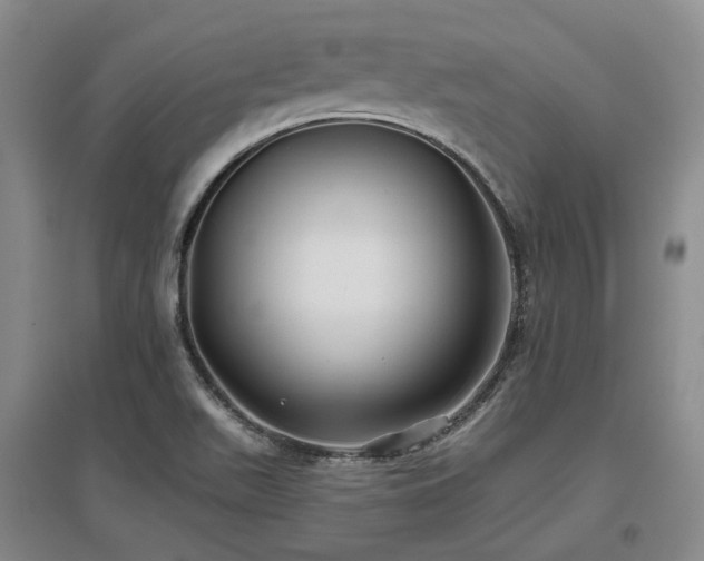 X0000097471511200802221224