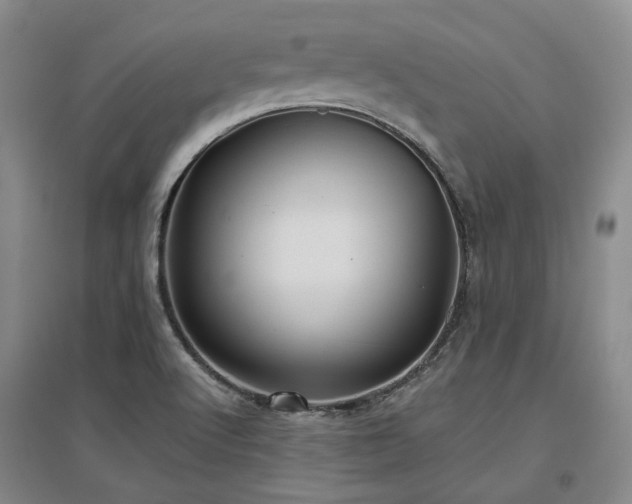 X0000097471512200802221224