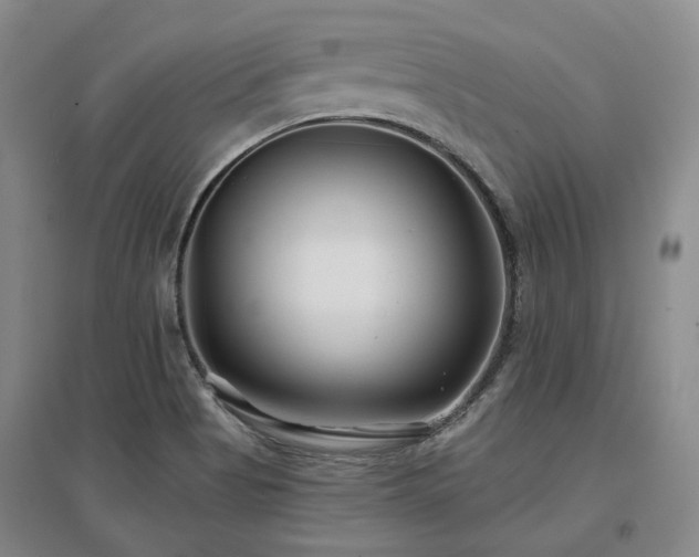 X0000097471513200802221224