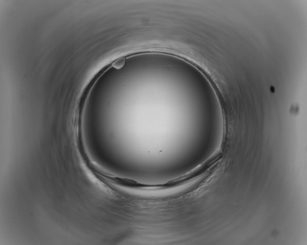 X0000097471515200802221224