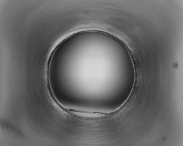 X0000097471516200802221224