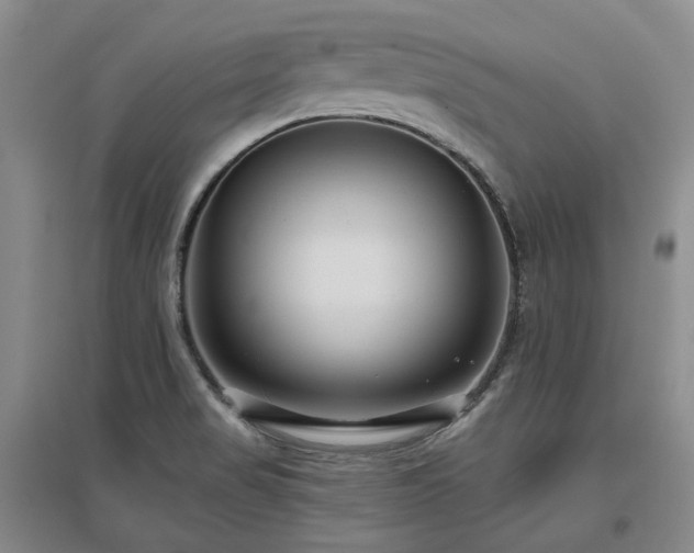 X0000097471517200802221224