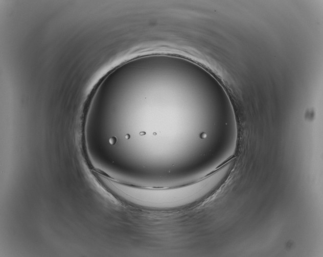 X0000097471518200802221224