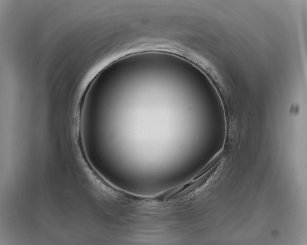 X0000097471520200802221224